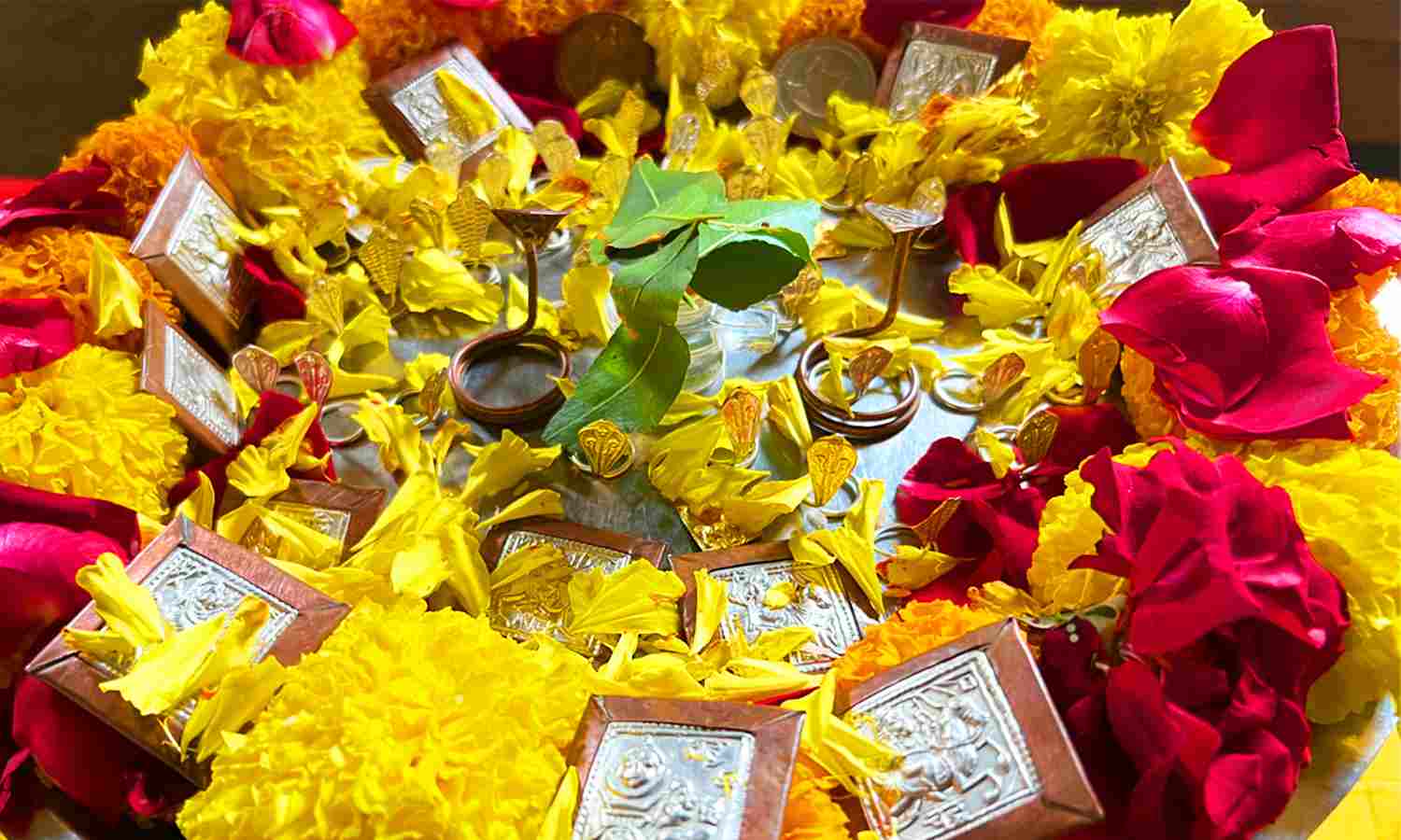 kalsarp puja trimbakeshwar