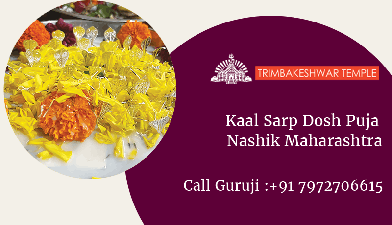 Kaal Sarp Dosh Puja Nashik Maharashtra