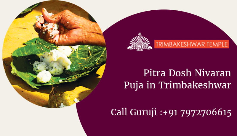 Pitra Dosh Nivaran Puja in Trimbakeshwar