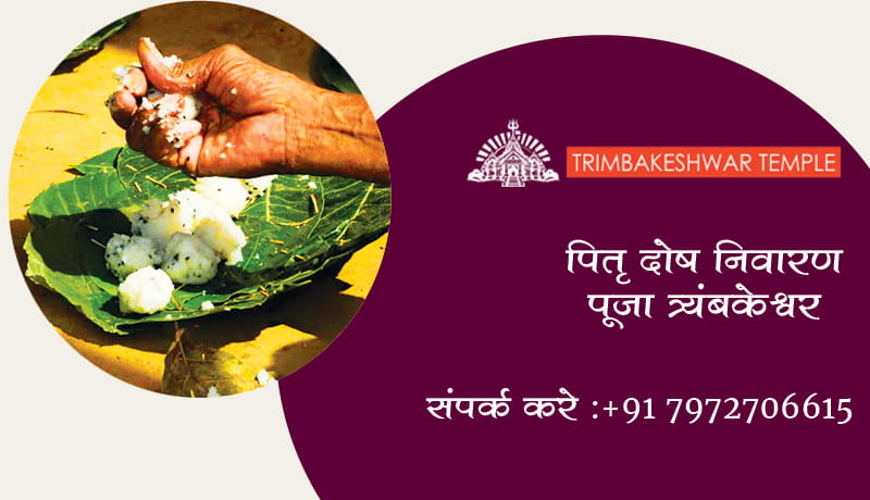 पितृ दोष निवारण पूजा त्र्यंबकेश्वर