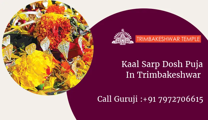 Kaal Sarp Dosh Puja In Trimbakeshwar