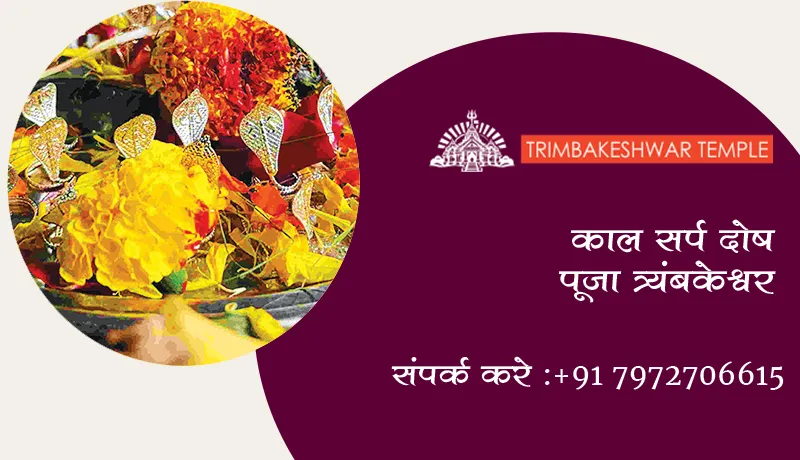 काल सर्प दोष पूजा त्र्यंबकेश्वर